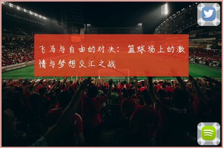 飞马与自由的对决：篮球场上的激情与梦想交汇之战