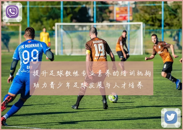 提升足球教练专业素养的培训机构助力青少年足球发展与人才培养